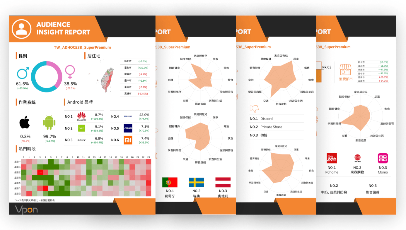 audience_insight_report